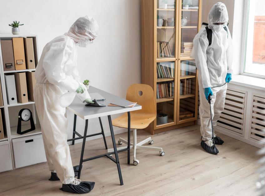 A Complete Handbook for Identifying and Preventing Household Pests