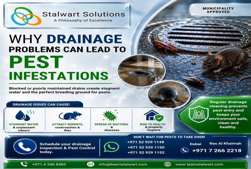 drainage-problems-pest-infestations-ras-al-khaimah