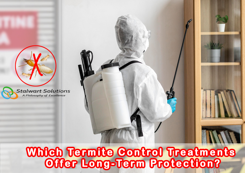 Which Termite Control Treatments Offer Long Term Protection