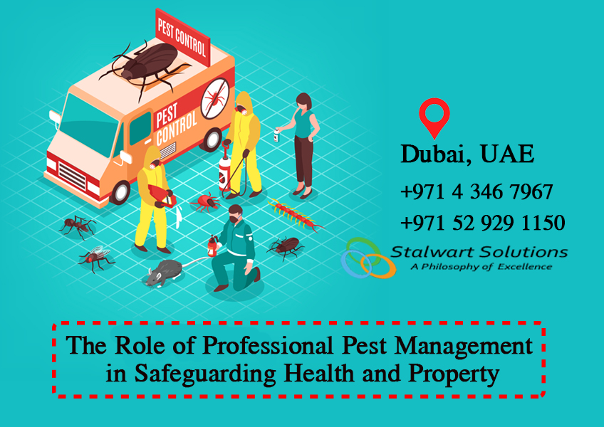 professional pest management services in Dubai